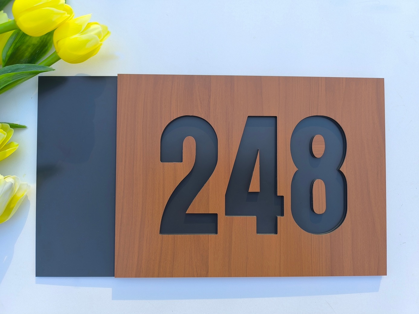 Číslo na dom: Venezia