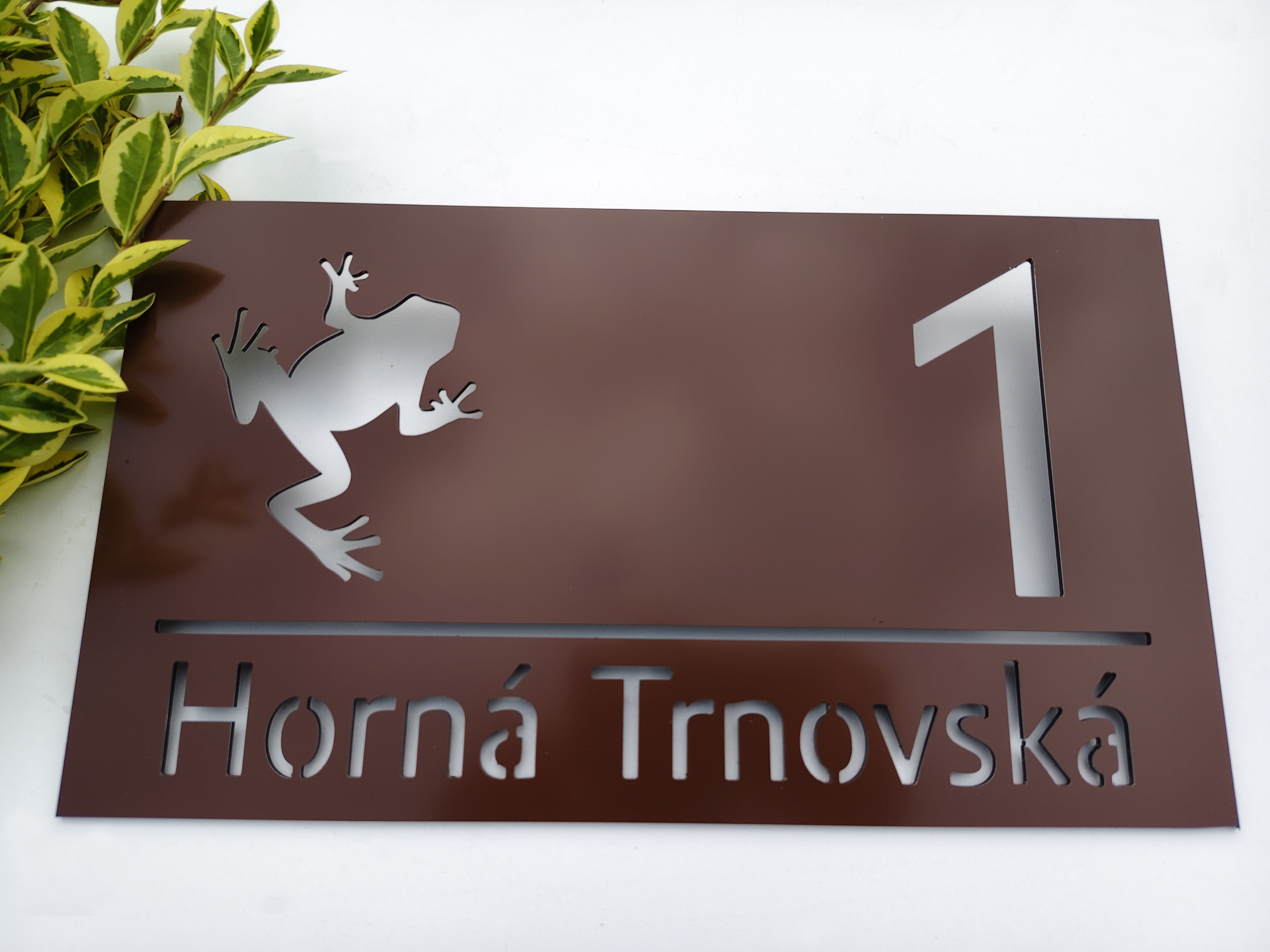 Číslo na dom: Žabka
