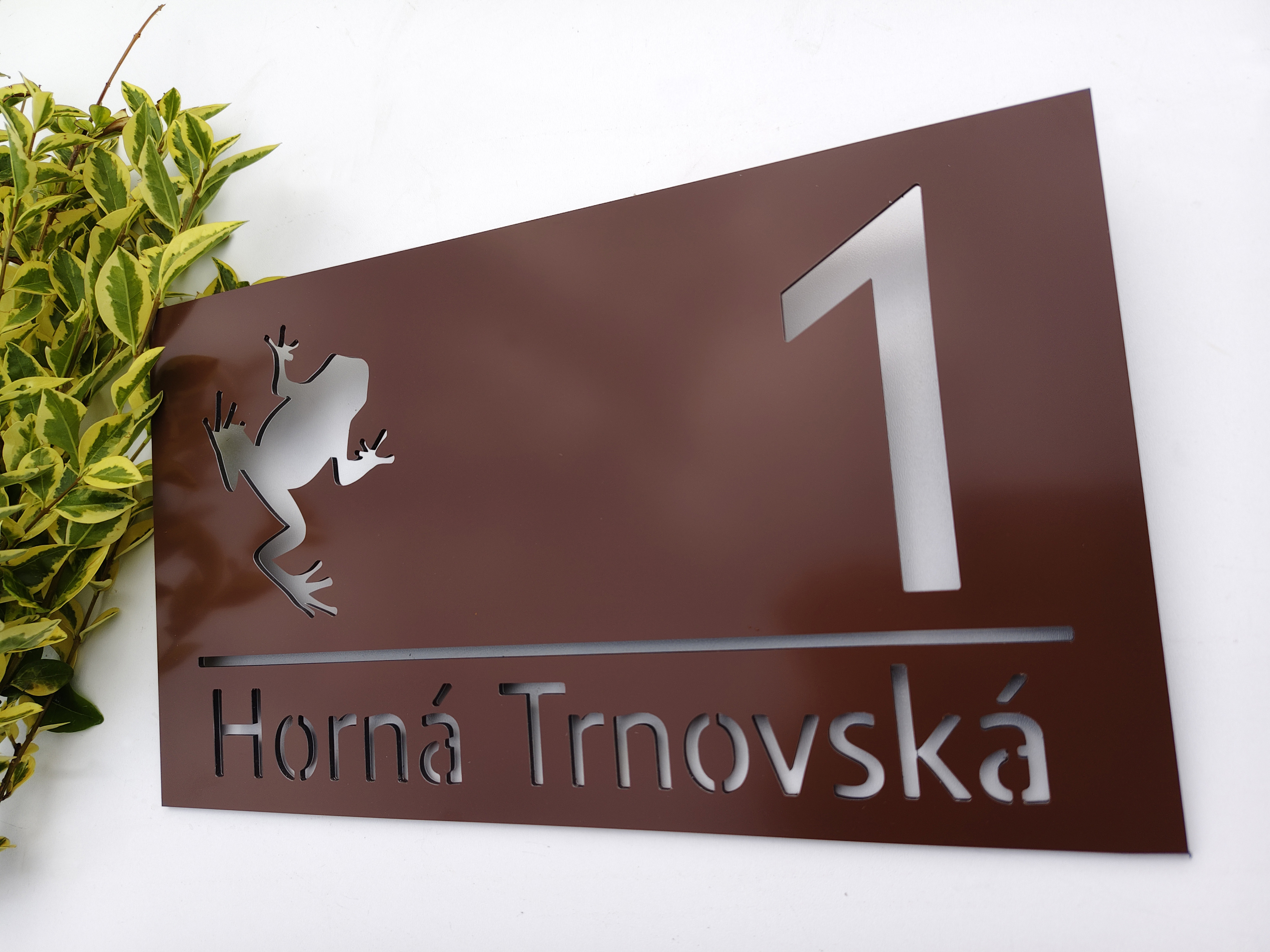 Číslo na dom: Žabka