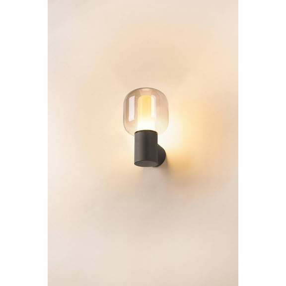Svietidlo LED nástenné OVALISK WL 1004678 9,2W 630lm 3000/4000K 230V IP65 antracit