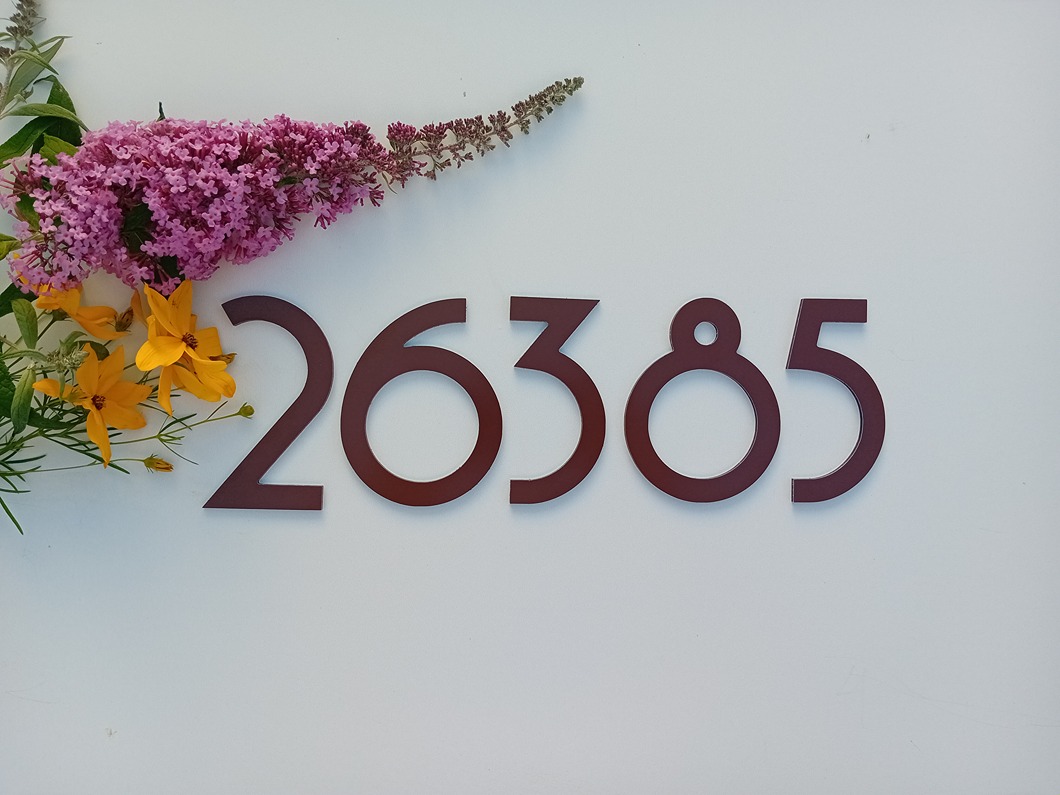 Číslo na dom: Balloon