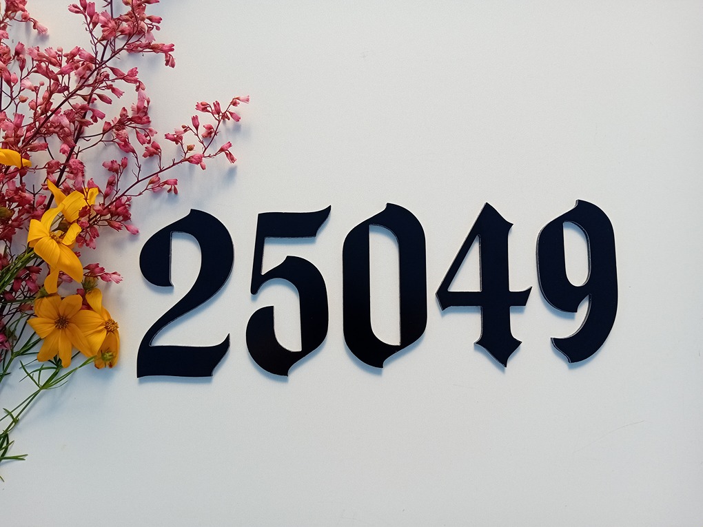 Číslo na dom: History