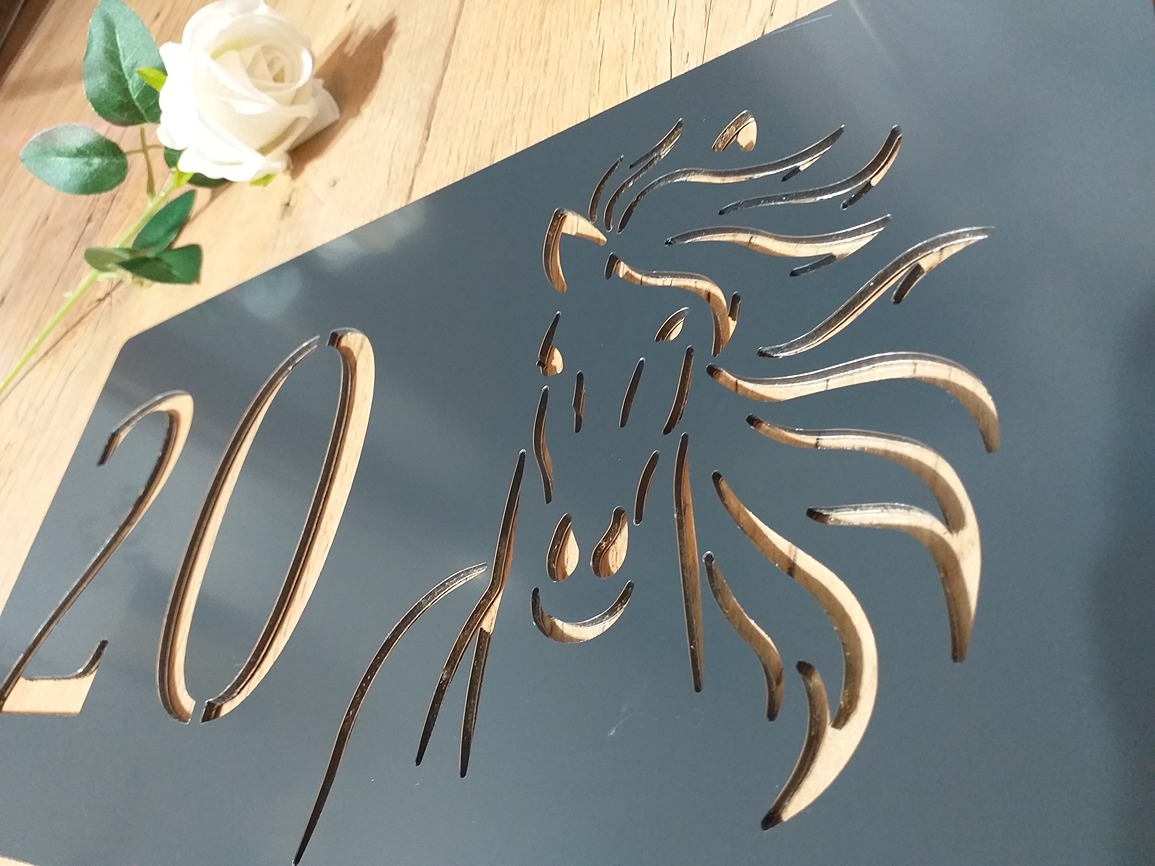 Číslo na dom: Horse