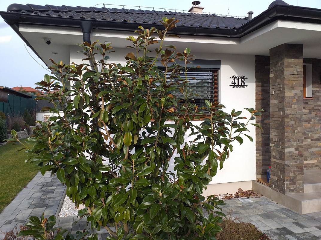 Číslo na dom: Ornament luxus